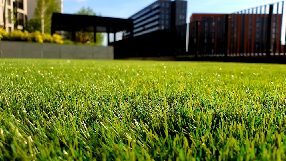 Artificial Grass